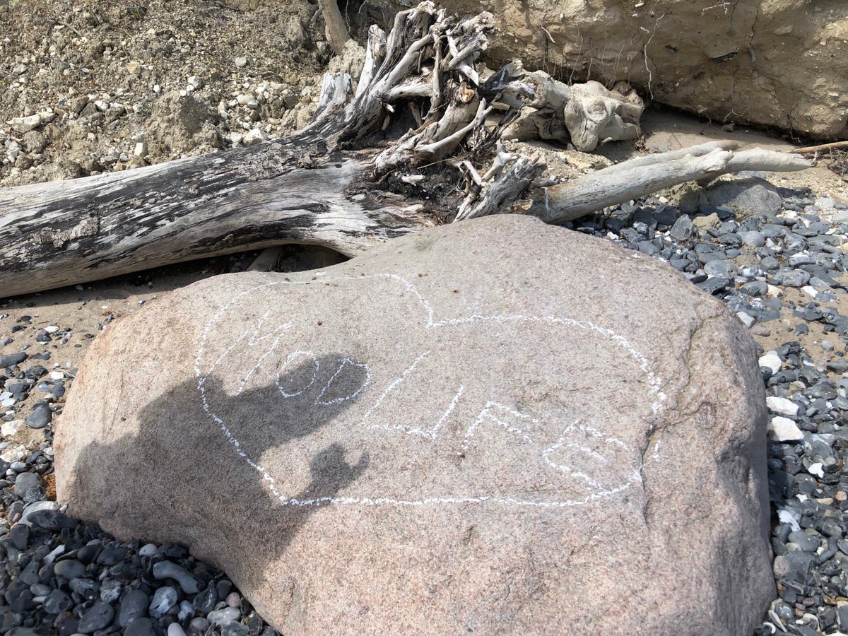 H2020_ModLife's tweet photo. Memorable post conference trip at Møns Klint (UNESCO biosphere reserve)  last Saturday @H2020_ModLife https://t.co/UL9uHzm2lY