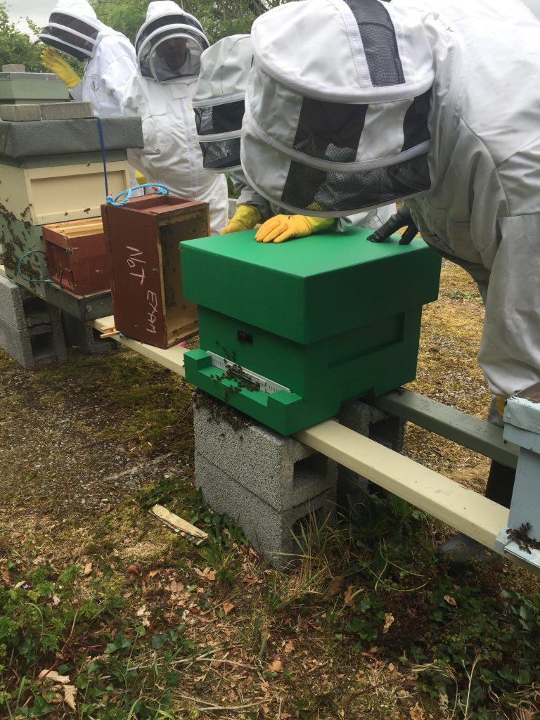 SOPHiaPhysics's tweet photo. Check out new SOPHia Beewise blog, thanks to Vincent Casey! Monitoring endangered species like bees is critical for our planet. For this, physics is crucial. Live data will be streamed to the website (under construction) @PhysicsDeptUL #BelieveinScience https://t.co/IhJ662QnuL https://t.co/p3Gqgq6MFg