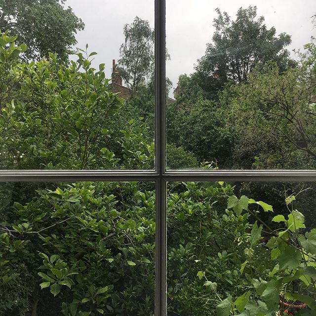 tatjana1o1's tweet photo. sky today #27/05/19
.
.
.
#garden #spring #flowers #gardenstories #inmybackgarden #london #hackney #magnolia #londongarden #hackneygarden #gardenstagram #inmygarden #sash #window #inmybackyard #yellowflowers #gardenlife #gardenlifestyle #gardendesign #ga… https://t.co/g6iZ3kCwnK https://t.co/ODeLdZZuVn