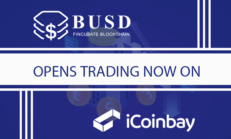 Excited to officially launch our listing at @iCoinbay_info 🎉🎉🎉 
Trade BUSD now!

#BUSD #stablecoin #cryptocurrency #blockchain #fintech