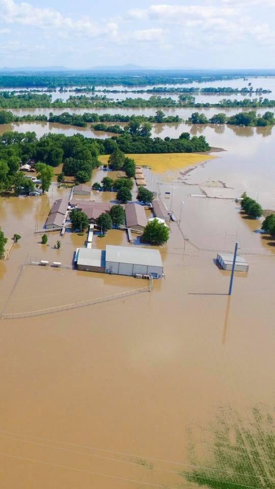 Robert_Wil33's tweet photo. This is Moffett Oklahoma, a place where my family was raised and countless of other families. Water will continue to rise and cover the town even more. I know I’ve said this once before but please continue to pray for Oklahoma! https://t.co/fGn42c5ZHP