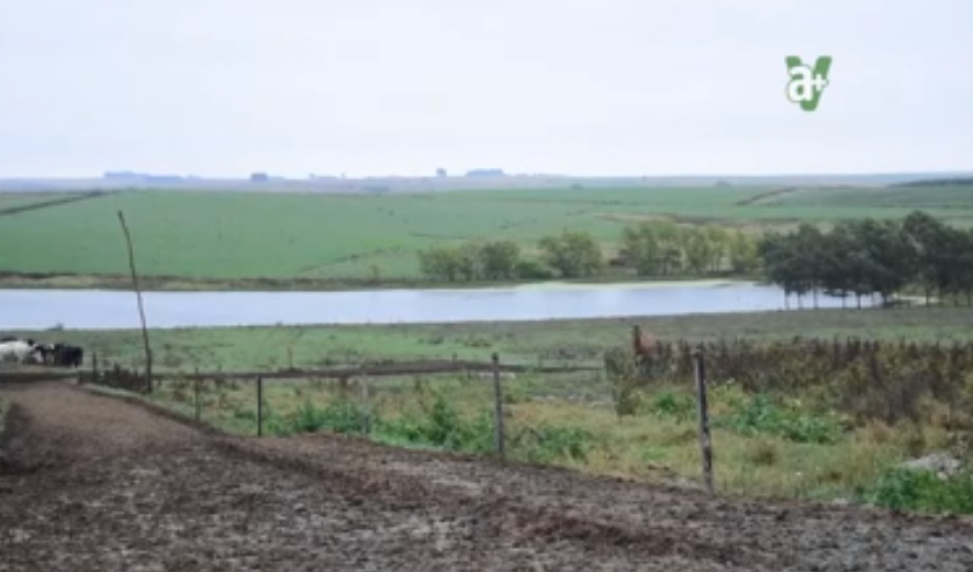 amasvcanal's tweet photo. A+V AGROPECUARIO

#AMASV #MAIDANA #CANALAMASV https://t.co/nEpZWNItqx https://t.co/CqScgrzY9s