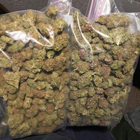 weedpandashop's tweet photo. For all your Cannabis need just DM or contact us through our contact below. 
shatter, wax, buds, edibles, hemp oil, moonrocks and more

Website: https://t.co/RV3S5SsEJU 
Text or Call: (702) 508-2454
Email: sales@weedpandashop.com https://t.co/5LbmZR1Duv