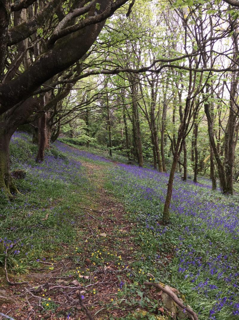 Have you seen our latest news? conta.cc/2HXO12b