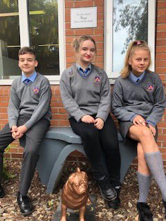 RathdaraCC's tweet photo. Thank you to our first year students who helped prepare this gorgeous dog. The dog will be placed in our memory garden in remembrance of Margaret O’Hara, a much loved member of our School Completion Team who sadly passed away. #remember #schoolcompletion #parentsassociation https://t.co/ZwQyuoMLm3