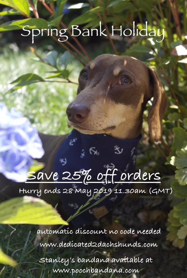 dedicated2dachs's tweet photo. still time to take advantage of 25% off all orders now @dedicated2dachs 

Expires 28 May 2019 (GMT) 11:30am 
https://t.co/1RYXqgEs4H

Stanley’s bandana available from https://t.co/uXjbK0claT save 20% off  quote mabelalfiestanley20 

#quirkysausagedoggifts #doxiegiftshop #daxie https://t.co/kHM3GzXA3o
