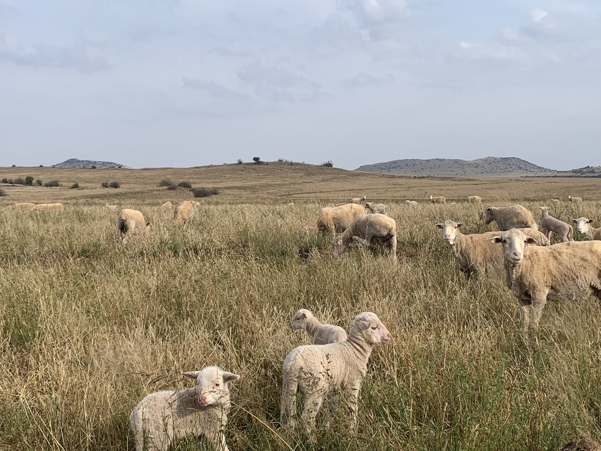 @TrueNorthValuers tweet media