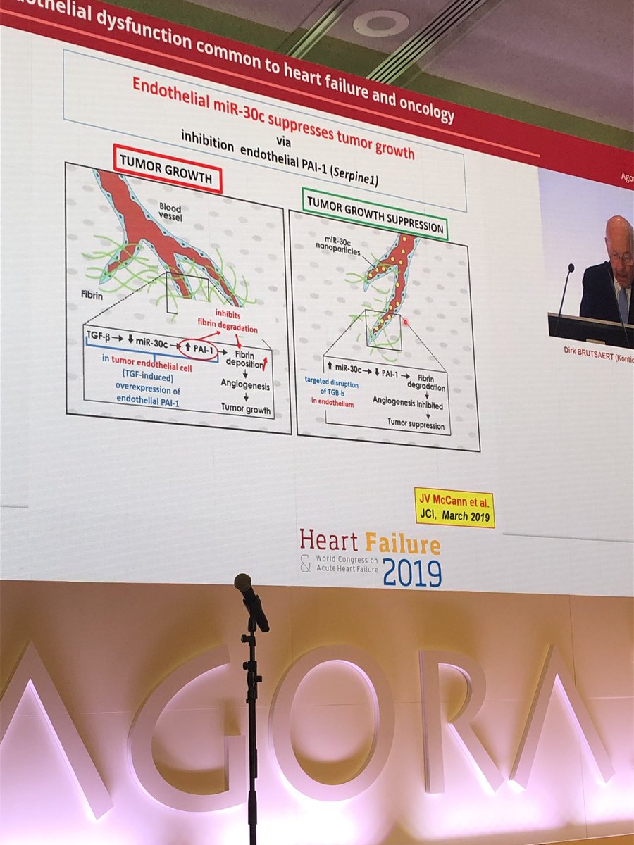 Great talk on endothelial function, HF and cancer by the real expert, Dick Brutsaert. #HeartFailure2019