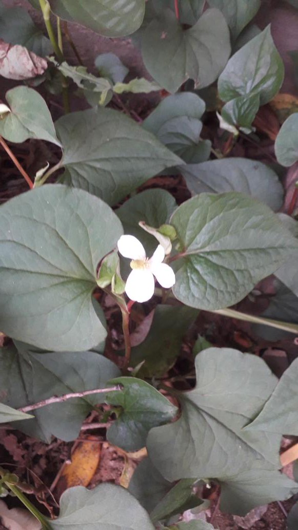 가끔은
전활 해야 될
사람이 있는 것 처럼
느껴져

근데
할수가 없어
상대의 맘을 모르니

그래도 
언젠가는 꼭 한번
해야 할것 같아

아니 한 것보다는
나을 것 같고 후회가 
없을것 같다.