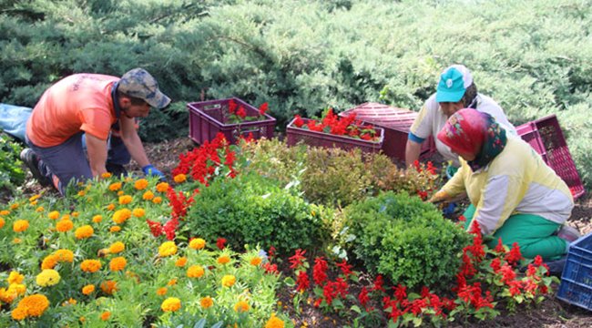 Çankaya baharda çiçek açtı...

bit.ly/2HZYXft

<a href="/AlperTasdelen06/">Alper Taşdelen</a> <a href="/CankayaBelediye/">Çankaya Belediyesi</a> <a href="/CHPYerel/">CHP Yerel Yönetimler</a>