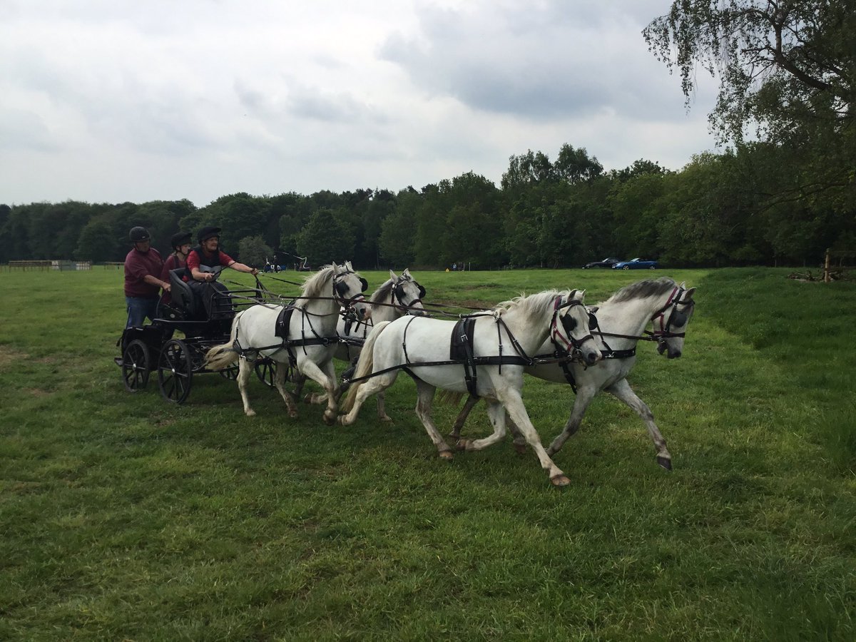 Entries excepted for our next event on line til Tuesday morning for Locko Park near Derby June 8&amp;9. <a href="/RhenabEquest/">Rhenab Equestrian</a> <a href="/DavidIHitchcock/">David Ian Hitchcock</a> <a href="/TaraWilkinson01/">Tara Wilkinson</a> <a href="/KarenBassett123/">Karen Bassett</a> <a href="/TeamRosanna/">Team Rosanna</a> <a href="/bcarriagedrive/">British Carriagedriving</a> <a href="/LoggiSDU/">Sports Driving Unltd</a> <a href="/dragondriving/">Dragon Driving</a> <a href="/TheBenningtons/">Bennington Carriages</a> <a href="/teamburtwood/">Emma & Tony Woodward</a>