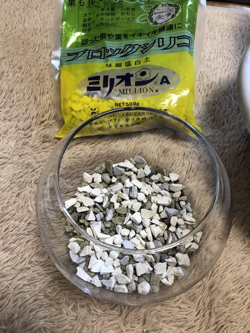 根腐れ防止剤を代用できる物はある 防止剤の必要性とは Every Day