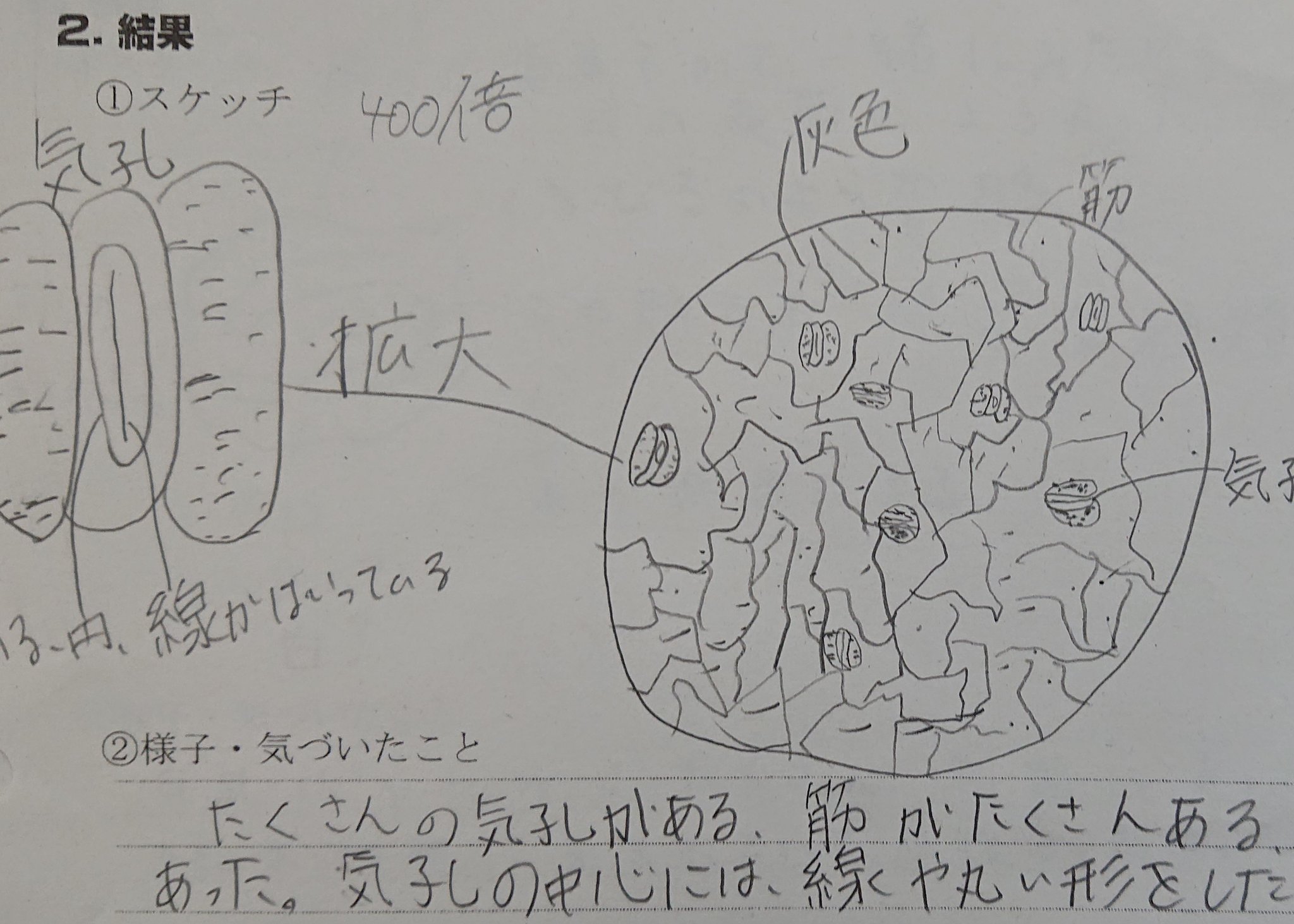 Yuzu 中学理科 Yuzu Trika Twitter