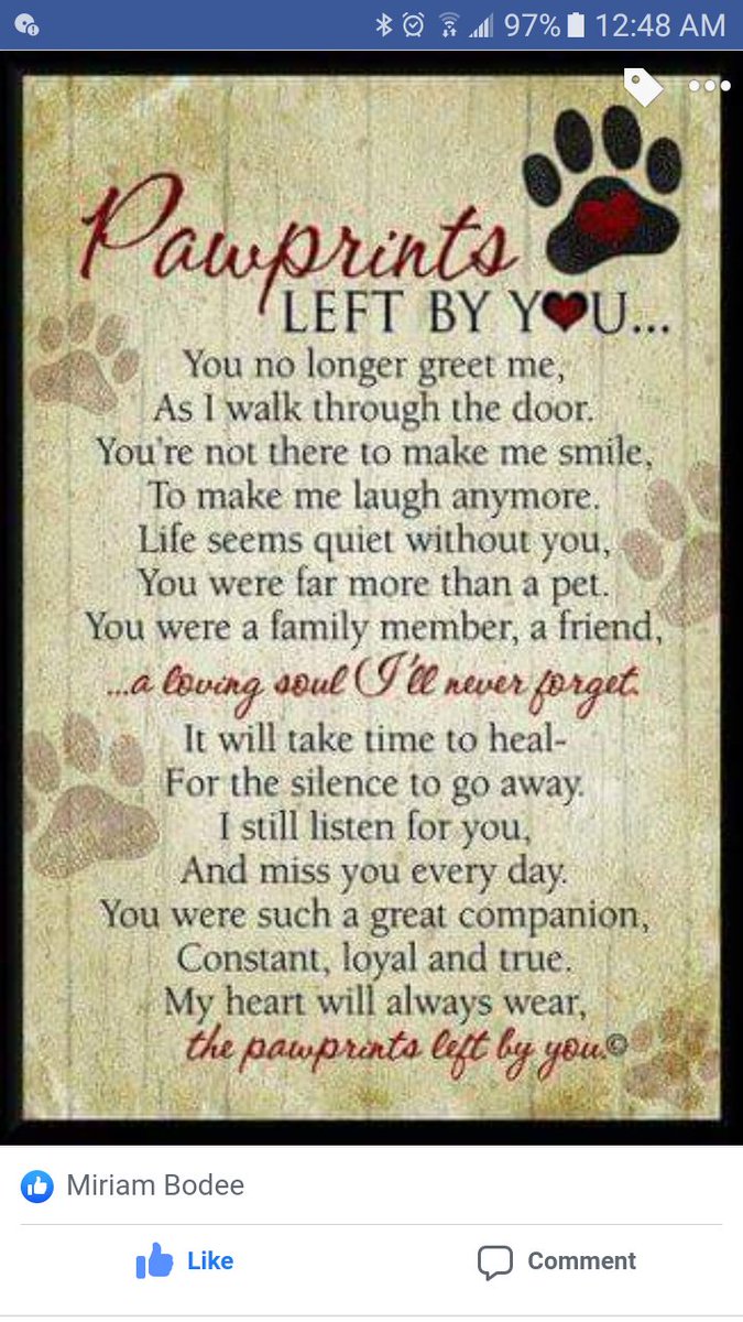 My dog passed away and I am completely heartbroken. #RIP #alldogsgotoheaven #rainbowbridge #morethanapet #MyGirl #apetsloveisforever #dogmom