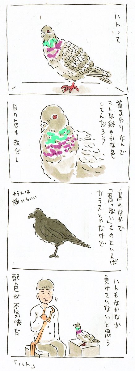 「ハトはよく見ると不気味」 