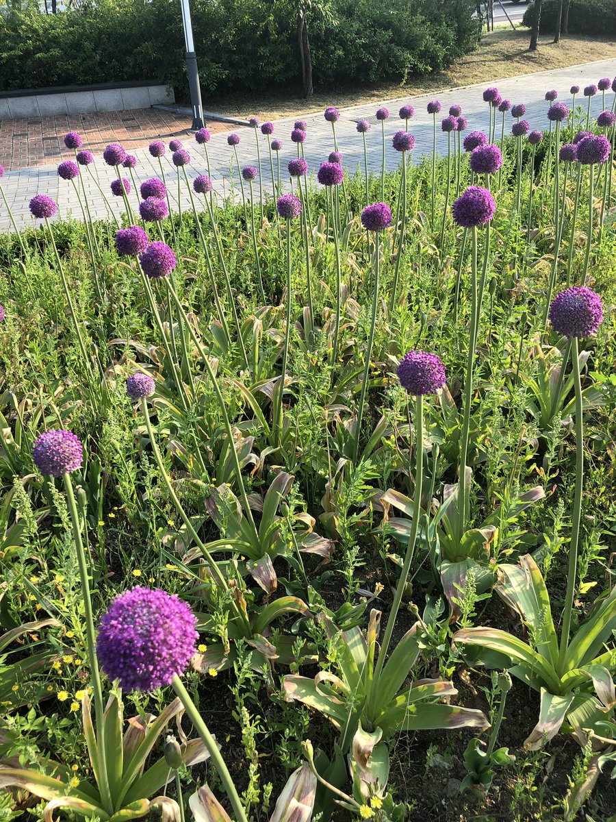 whisper (@namyeob12171012) on Twitter photo 