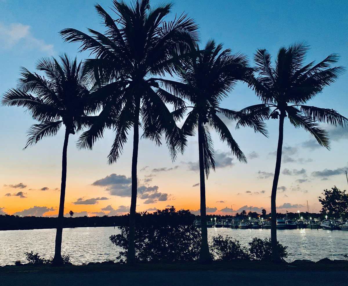 Sammy317's tweet photo. Oh you make me smile:) An amazing  Miami sunrise. Black Point Marina Thankful for a safe ride. #MultiraceAmbassador @usatriathlon #USATriathlonAmbassador #MemorialDay2019 #MondayMorning https://t.co/mq23GU4uT3