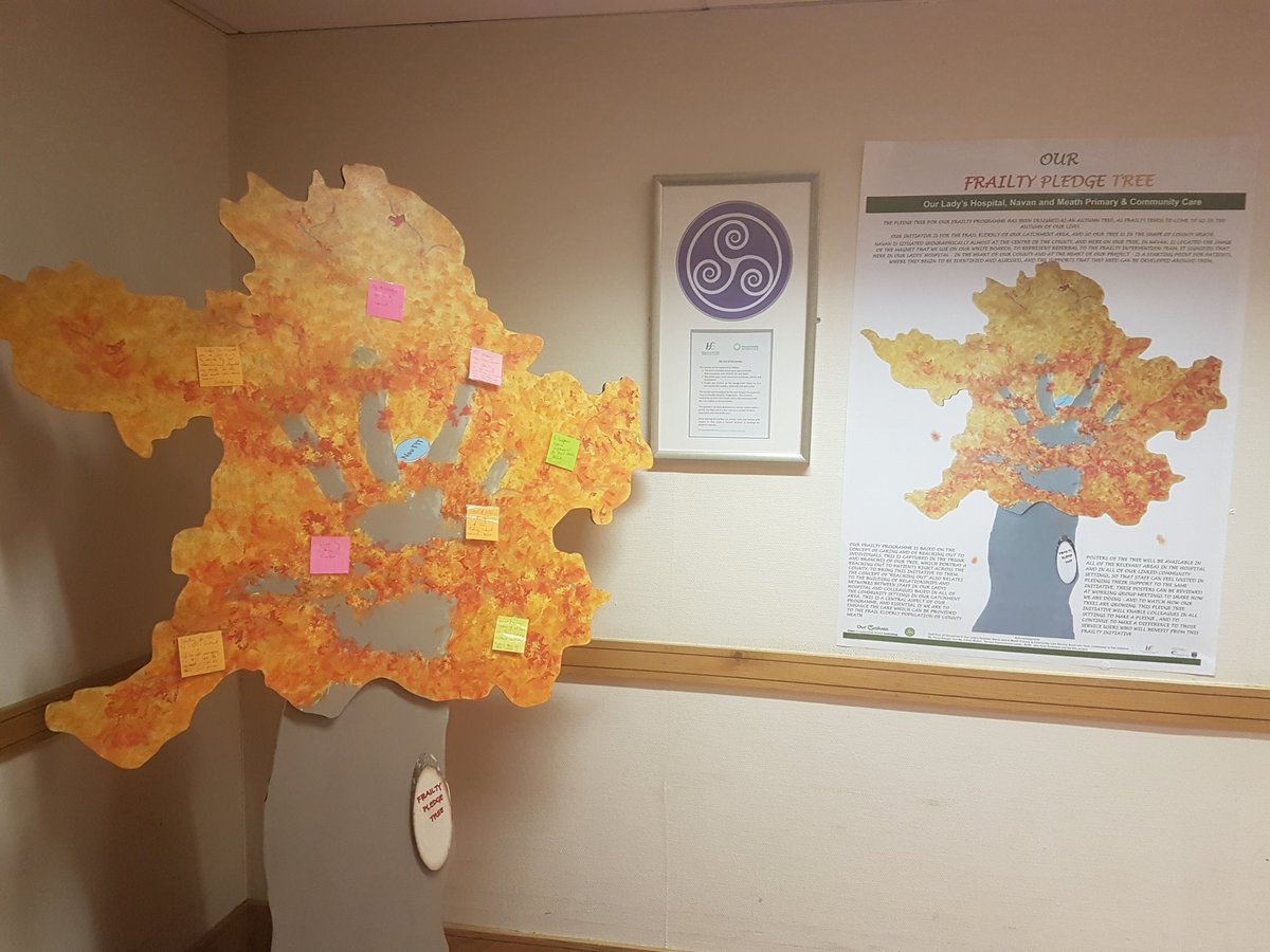 LaraBourton's tweet photo. Our Frailty Tree has a more permanent home in OLHN for staff , patients and visitors to see and understand .Pledges welcome          #frailty #journeytobettercare @annejon24065844 @fionak132 @aileenmcelhone @CiaraRowe14 https://t.co/wfntWmebak