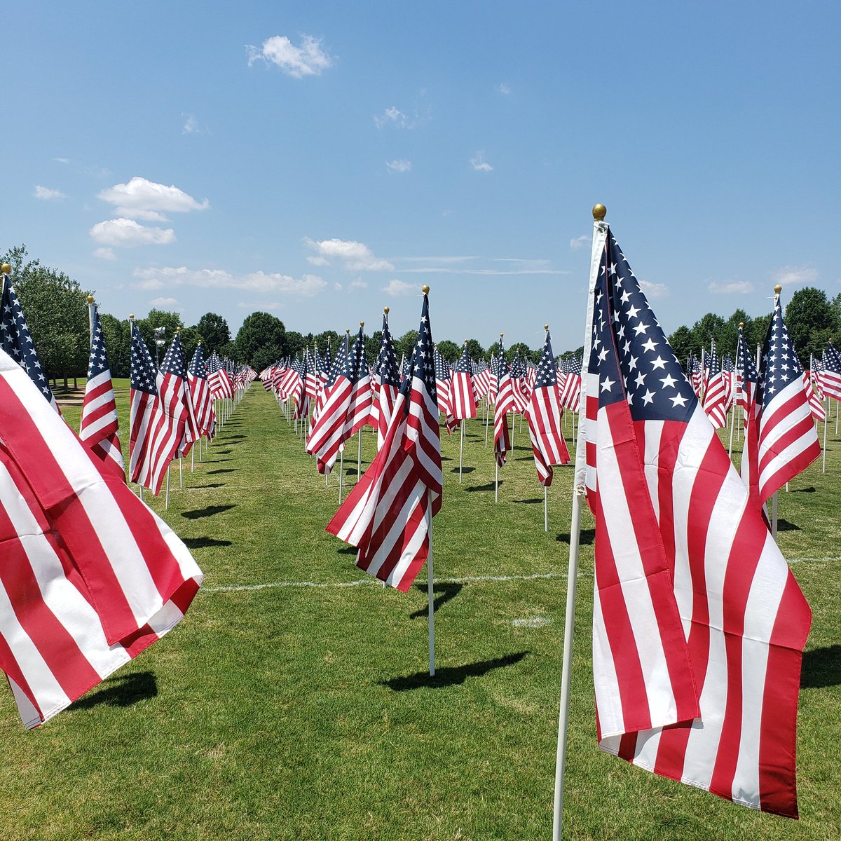 Race City Injector respects and honors the sacrifice of the men and women who gave their lives for our country, as well as those who continue to defend our freedom. Have a safe Memorial Day.