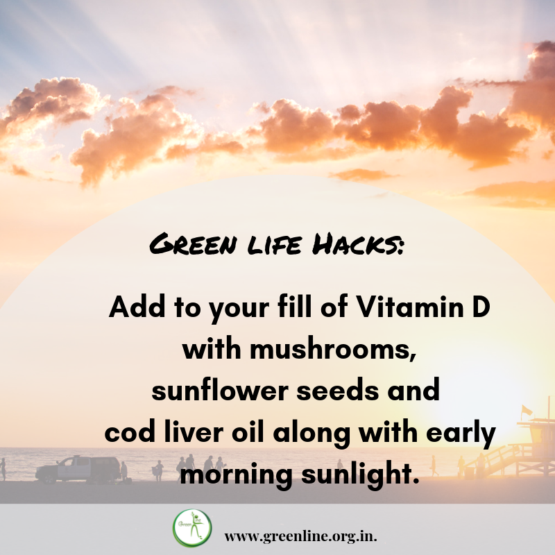 GreenLineMumbai's tweet photo. Vitamin D For Everyone!.⠀
#goearth #notmyocean #nomore #smallchanges #itainteasy #theyearofgreen #greenhacks #naturepower #consciouschoices #beatpollution #ecofriendly #lowerfootprint #green #greenlifestyle #greenline #codoil #sunlight #mushroom https://t.co/8oXtou1WEK