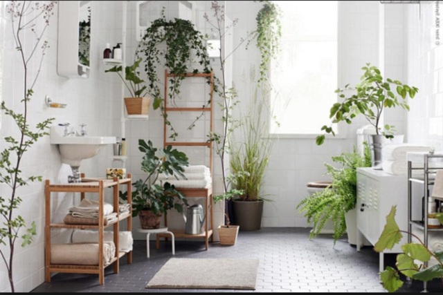 el_designers's tweet photo. How to use plants in home decor. New article on elDesigners.
The personal touches you add to your home make it uniquely yours, make it green!

https://t.co/jkpUnKG6II
#design #eldesigners #تصميم #architecture #interiordesign #designers #الديزاينرز #tips #plants https://t.co/aY77wBGYBS