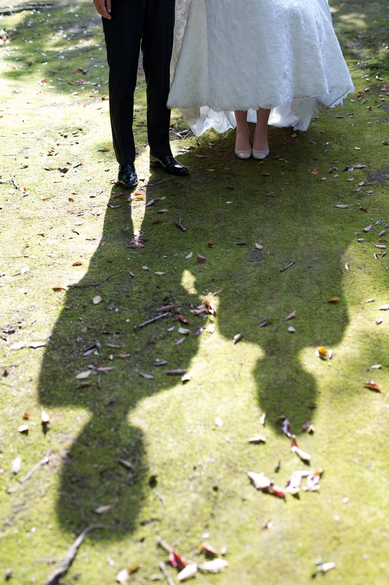 結婚式のbgm بحث في تويتر