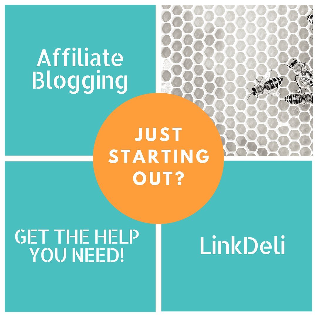 LinkDelicom's tweet photo. Just starting out? 🐝🐝

Get the help you need to start Affiliate Blogging with #LinkDeli

#linkdeli #affiliateblogging #affiliatemarketing #affiliatelink #affiliateproducts #bloggers #affiliatebloggers #getstarted https://t.co/QlI0vwA3U9