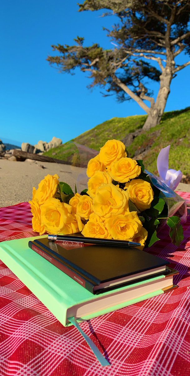 كان الرسام الروسي فاسيلي كاندينسكي
يقول بأن اللون الأصفر:
"هو صوت كل الألوان"
كان يراه متحدثًا بارعًا
يجيد التعبير عن نفسه وعن بقية الألوان.