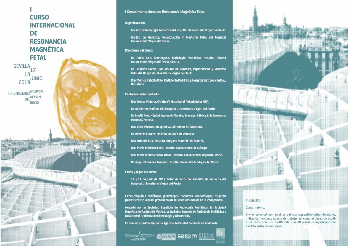 MartaTijerin's tweet photo. Any better plan for June? @Fetal_Imaging in Sevilla @Fetalgroup @medfetalBCN @SERAM_RX https://t.co/Q1PwZw39Ci