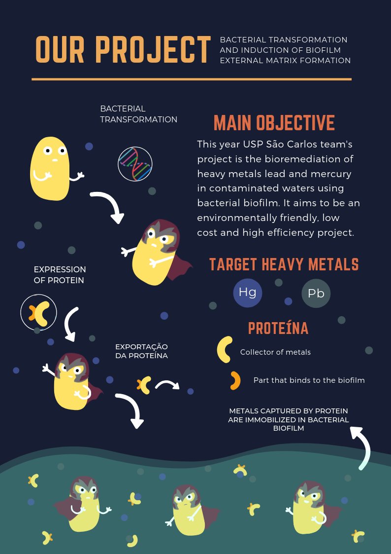 iGEM_USP's tweet photo. Hello guys!

We've prepared a little document to show you more details about our project and introduce our team members! Take a look at our folder and if you have any question, contact us!  We'll respond very quickly! https://t.co/Q8lAGLw4VP