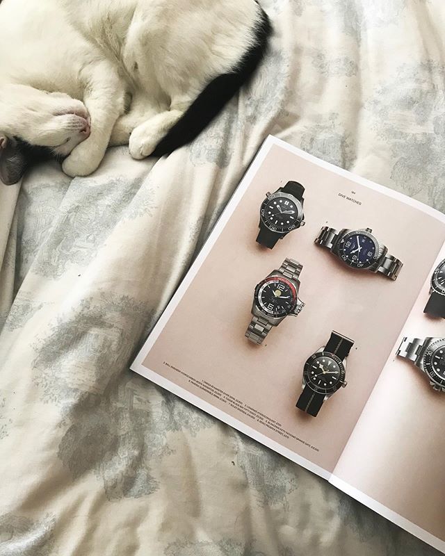 tomcorneill's tweet photo. No anniversaries, no words of wisdom, no commitments and no agendas today.
•
Perfect.
•
•
•
#meandmycat #meandmykitty #blackandwhitecat #blackandwhitekitty #watchbook #watchgeek #watchgeeks #watchgeekery #esquire #ukesquire #magazines #stylemagazine … https://t.co/m1Lm1k10R2 https://t.co/ImzS2GNbJN