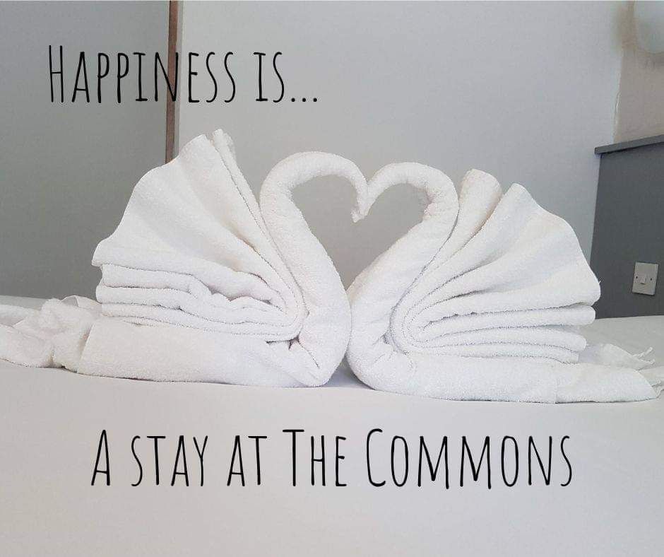 The Commons Hotel is popular amongst corporates, families, couples and groups because it is close to attractions, shopping centres and activities. Our hotel is also a favoured corporate site with close proximity to many business parks. commonsinn.com/rooms.html #break #getaway