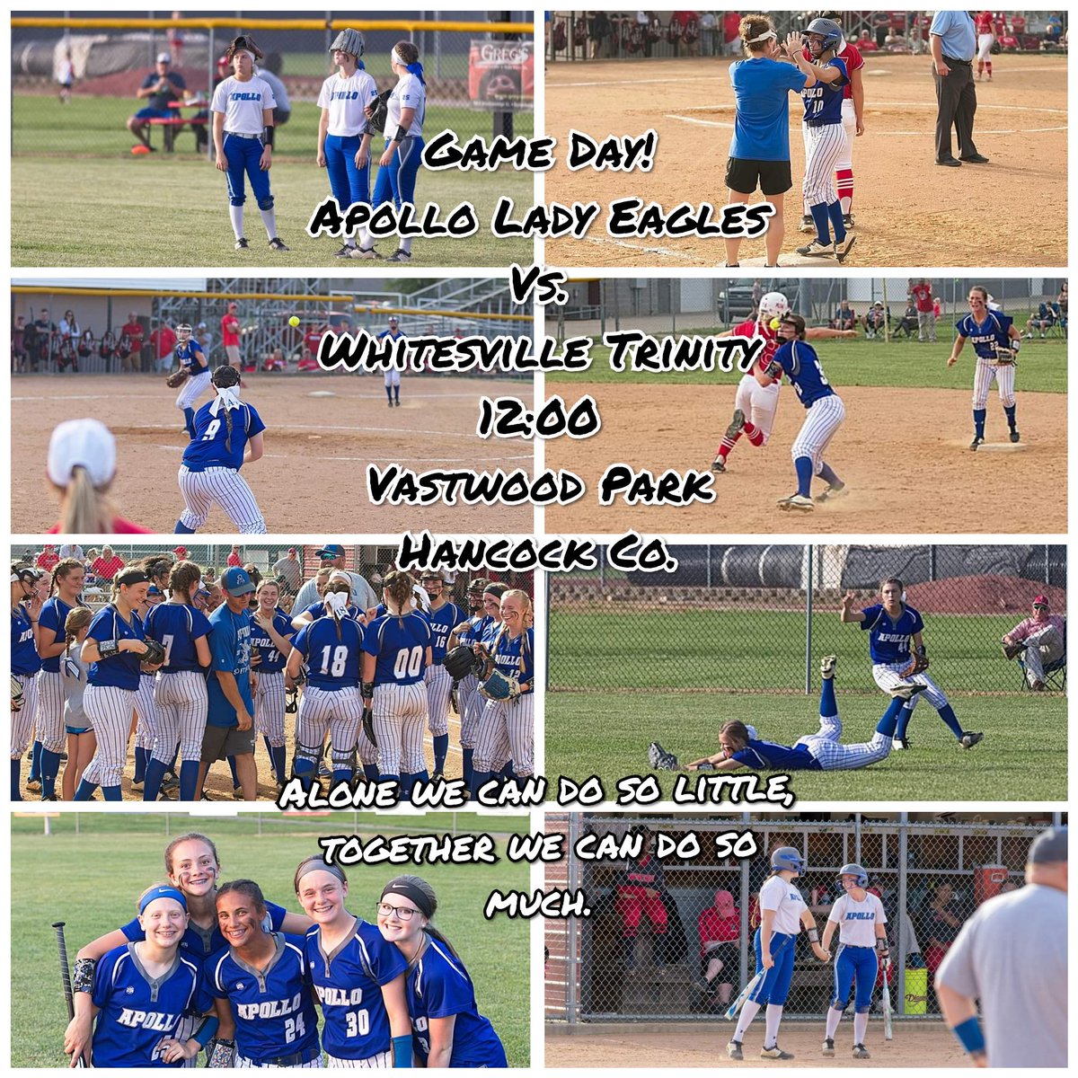 Apollo Softball tweet media
