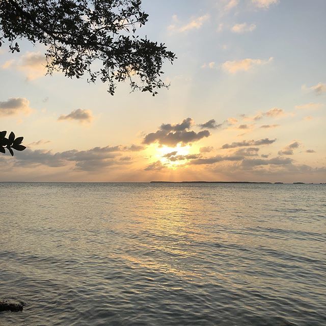 No filters. Sunset and Key Lime pie.
