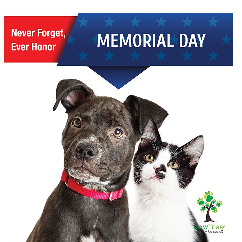 light_lauren's tweet photo. With gratitude, we remember our fallen heroes. https://t.co/RHnKswdFvH