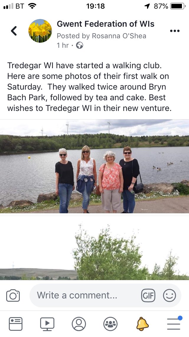 Well done Tredegar WI - great images and initiatives.