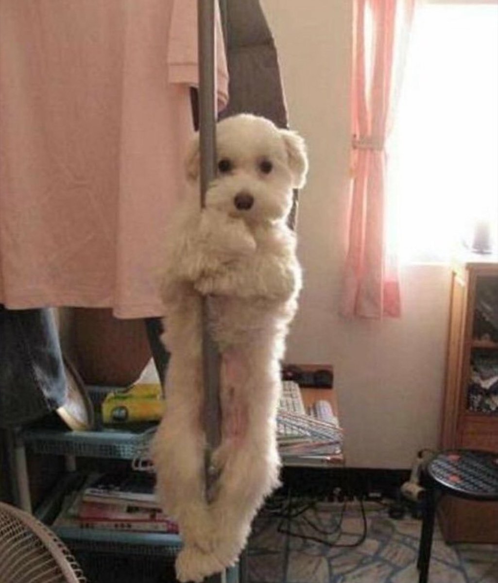 guiltless might be dodies best song after i wont be done, one for the road and burned out PERIOD.