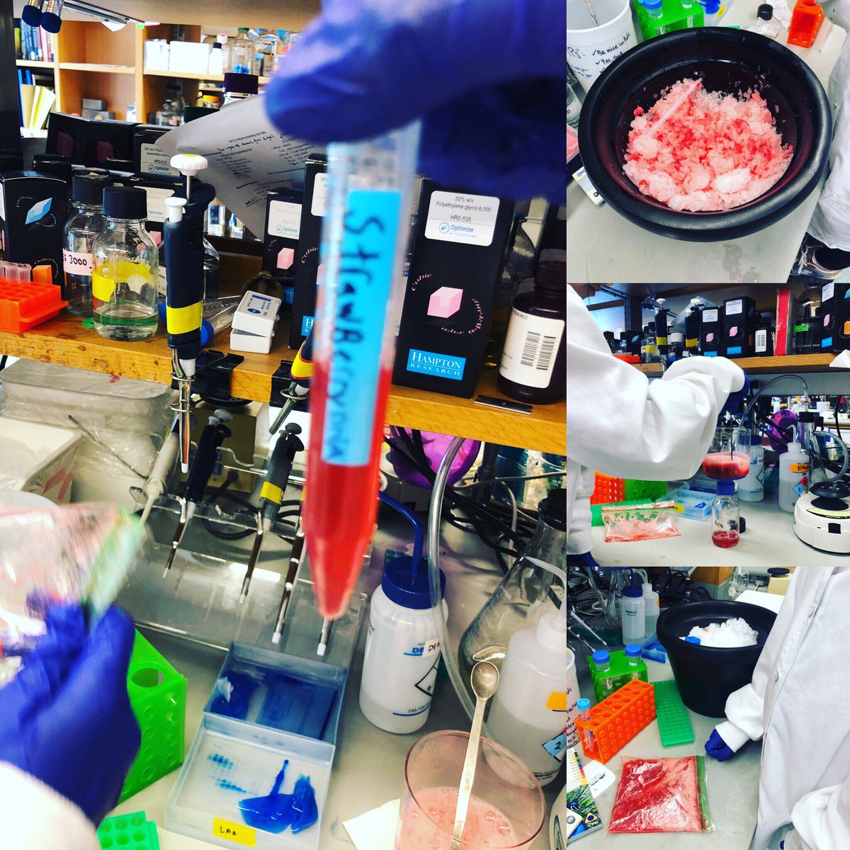 andreaach16's tweet photo. Last Friday afternoon my 8 year old niece spent it with me, causeโ she โค๏ธ #science we got ๐ ๐งฌ and tons of pink ice #futureScientist #WOCInScience https://t.co/YaCYYnLfJv