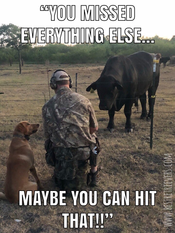 BestRetrievers's tweet photo. Does your dog ever look at you like this during hunting season? https://t.co/NWyBktAGJM
