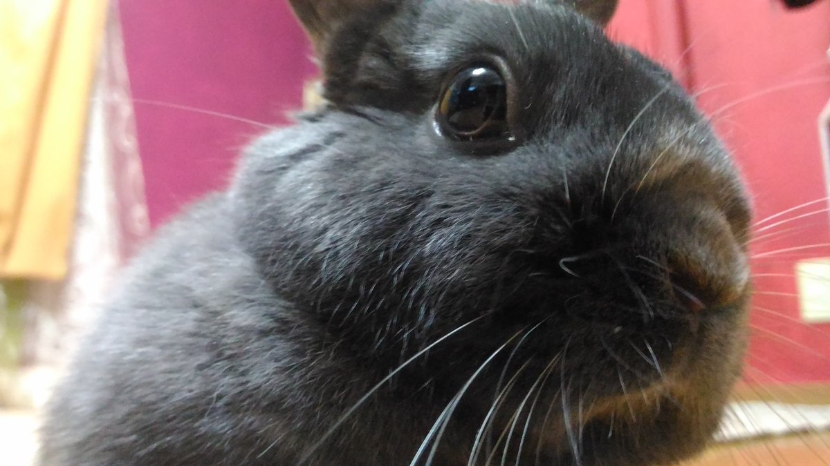 今日もかわいい😆