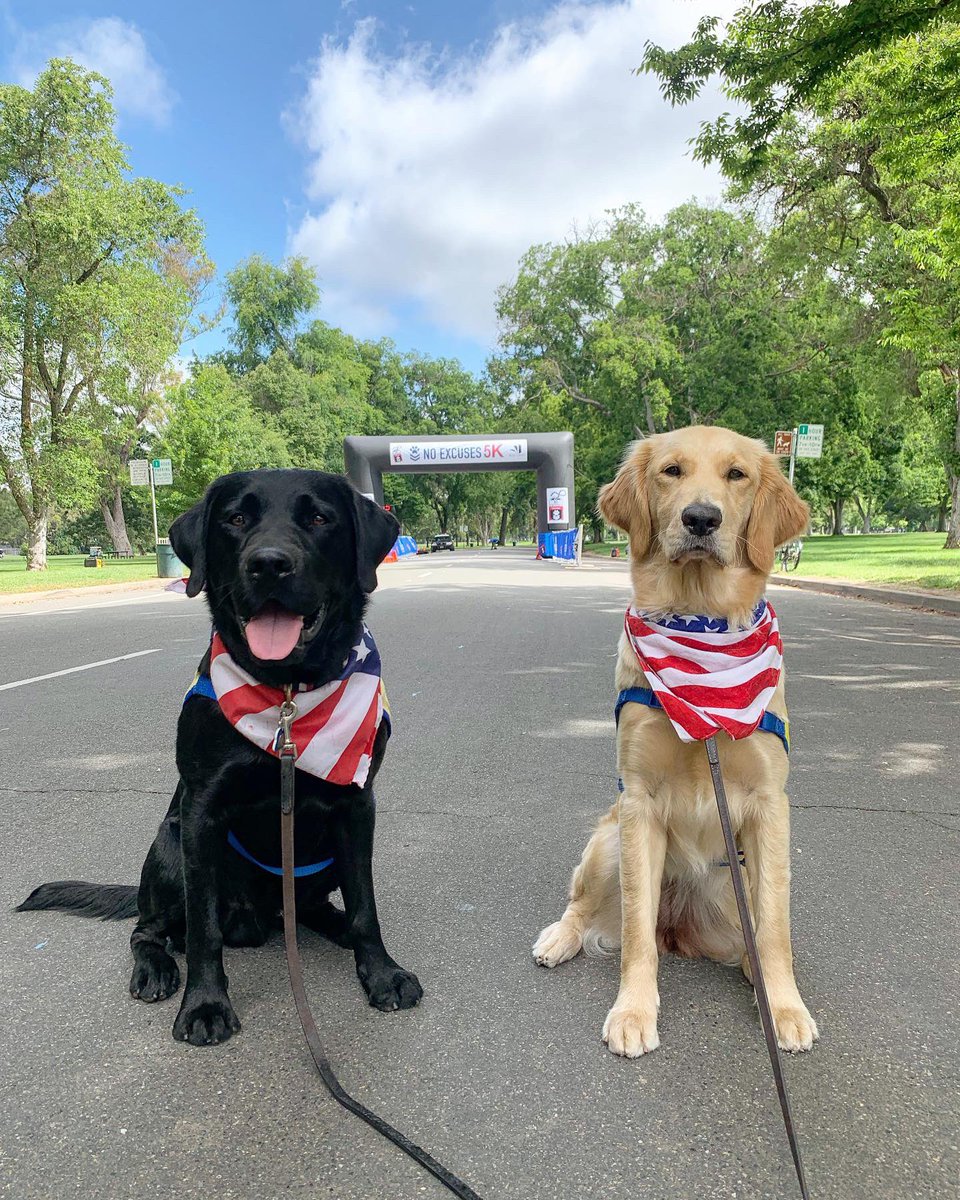 BoetzerErin's tweet photo. Happy Memorial Day!! We spent our day celebrating veterans at @NoExcuses5K #postyourpup #noexcuses5k https://t.co/8FWOTxbWb2