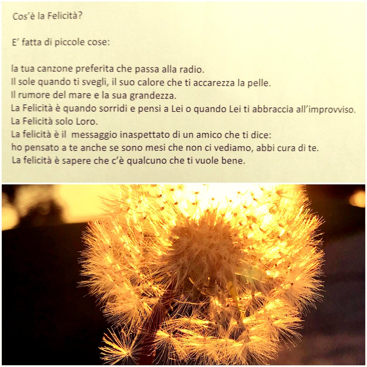 maiscontata's tweet photo. #TiFidi? Di loro SI!
💛🌻 https://t.co/TrAq4WSq55