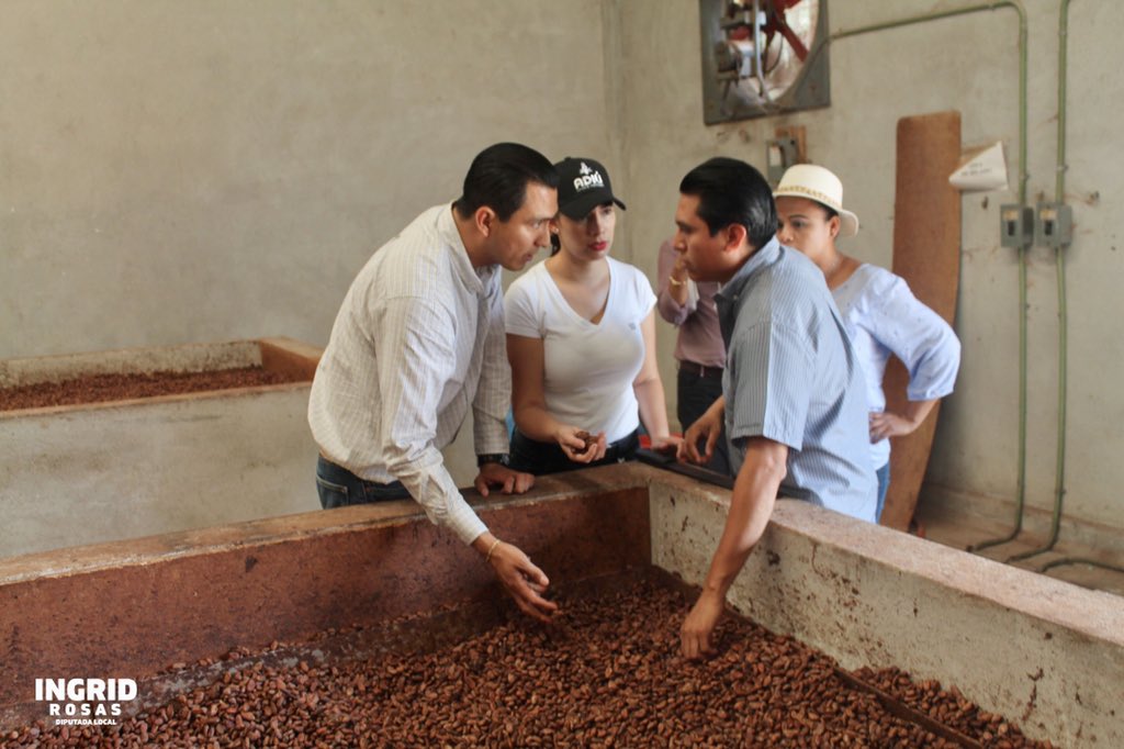 Comercializan 100 toneladas anuales; además cuentan con viveros que llegan a la capacidad de 2 millones de plantas para venta al público y programas de reforestación. (4)