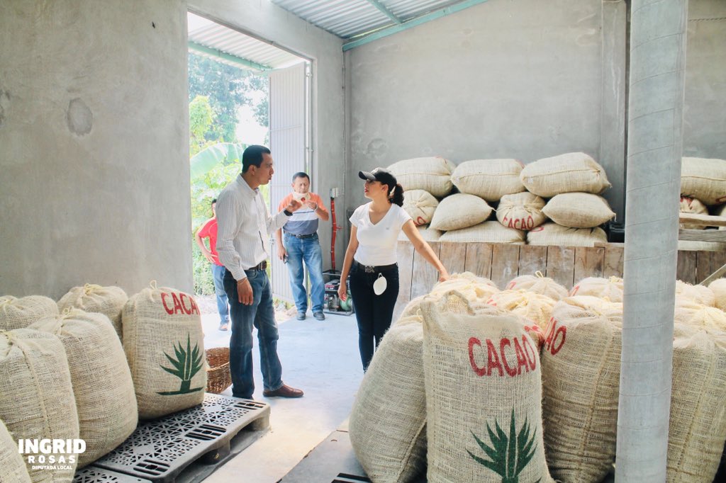 Cacao de #Comalcalco, pedido que cumple con los estándares de calidad y que va directo a Francia. 

<a href="/grupocicas/">Grupo Cicas</a> 

#OrgulloDeTabasco