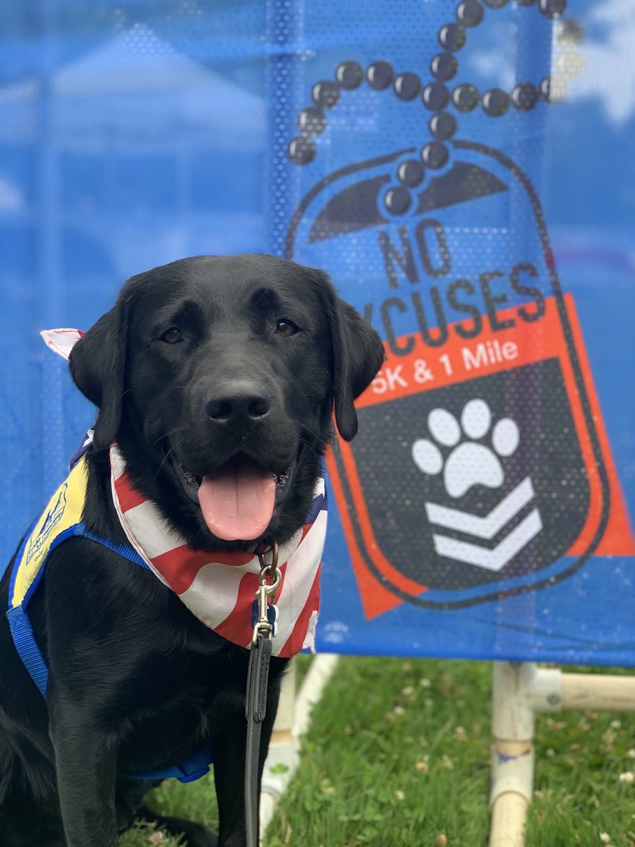 BoetzerErin's tweet photo. .@NoExcuses5K getting ready to run my race!! #postyourpup #noexcuses5k https://t.co/HDrNfmZWDh