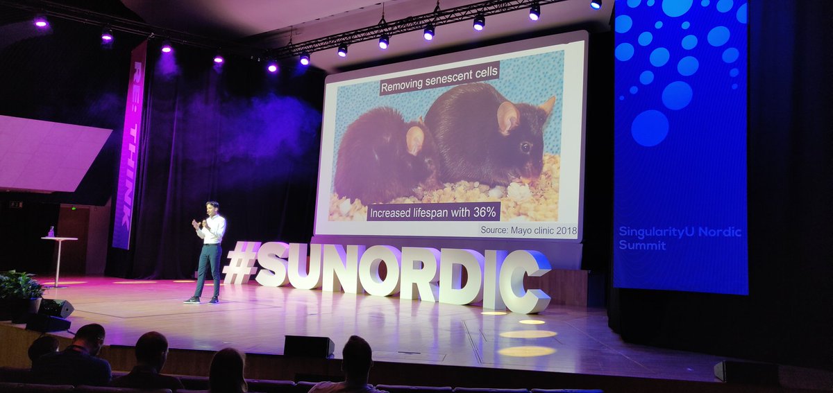 liudasmikal's tweet photo. #senescent cells play a major role in aging. Turns out that maintaining these "zombie cells" drains resources from the body. The two rats are the same age, one had the senescent cells removed, another - not. @suNordic #sunordic #longevity #healthtech https://t.co/W3ozgqKsuJ