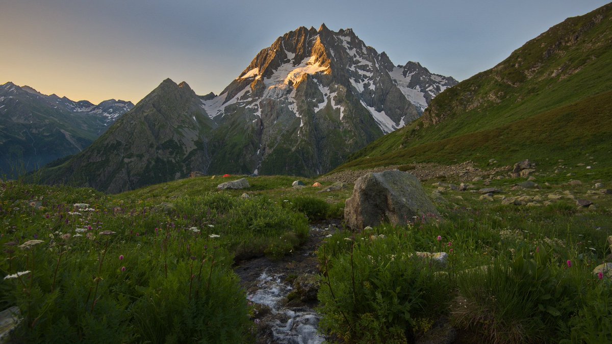 ������� ��������� �������� ����