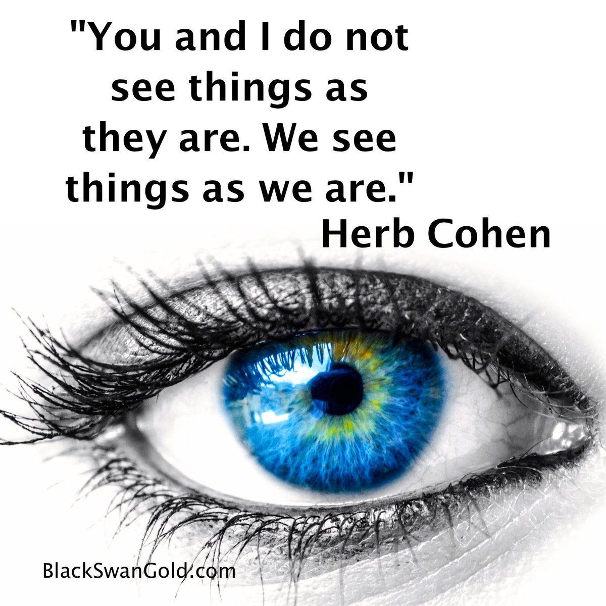 ir0nw1l's tweet photo. most don't understand the power of perception, how are you using your 'vision' to change your world? #HerbCohen #ir0nw1l #Motivation #PersonalGrowth #Autodidact #Hustle #Ambition #Money #HomeBusiness #Home #BusinessOwner #MakeMoney #Entrepreneur #TLYAW https://t.co/9O20IpS79T
