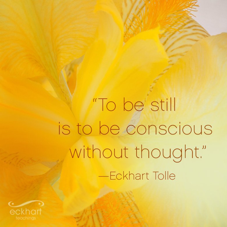 EckhartTolle tweet picture