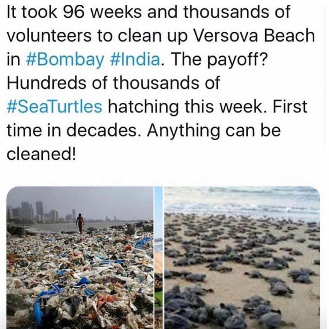 Complete_P_T's tweet photo. Love this 

https://t.co/ML3cs3ELvj

#saveourplanet #inspiration #plasticfree #fitpro https://t.co/klFBa0uhqs
